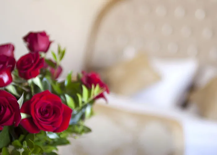 Oz Premium منتجع